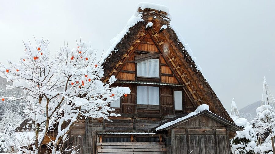 From Takayama: Guided Day Trip to Takayama and Shirakawa-go - From Takayama Station to Takayama Jinya’s Edo-era rooms