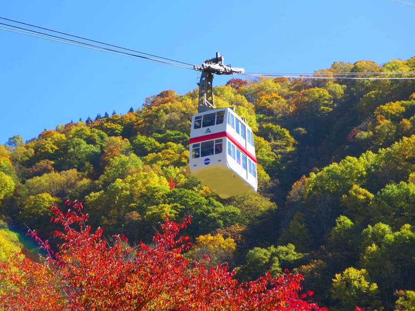 From Takayama: Shinhotaka Ropeway and Kamikochi tour - Key things that make this tour worth your time