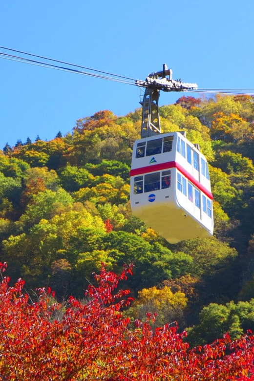 From Takayama: Shinhotaka Ropeway and Kamikochi tour - Price and value: what you pay $211 for, and what you still need to budget