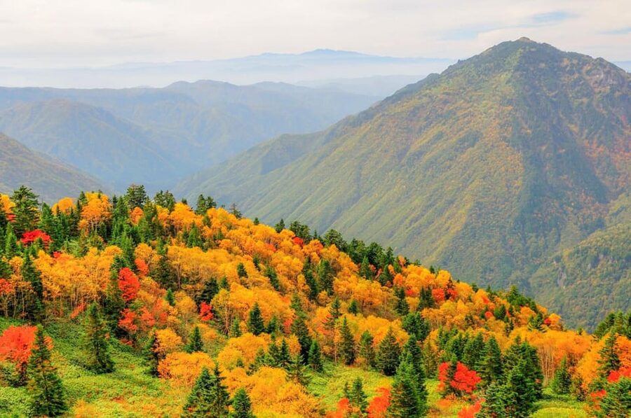 From Takayama: Shinhotaka Ropeway and Kamikochi tour - Weather reality in the Japanese Alps, and how this tour handles it