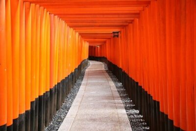 From Tokyo 1-Day Kyoto English-guided Tour by Bullet Train