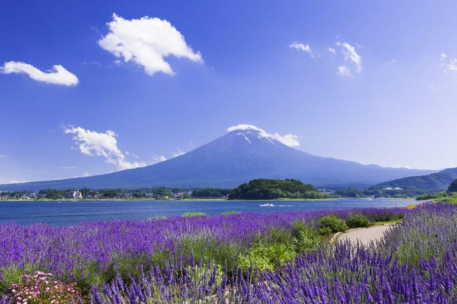From Tokyo: Fuji Mountain Area - FujiQ - Lake Kawaguchiko - Chureito Pagoda - Key things that make this Fuji day trip work