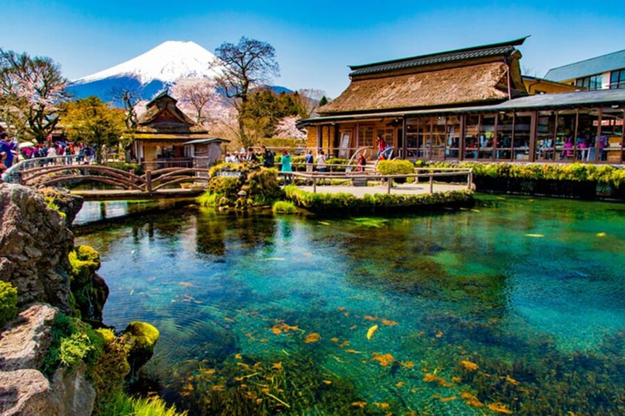 From Tokyo: Fuji Mountain Area - FujiQ - Lake Kawaguchiko - Chureito Pagoda - Oishi Park: the flower-and-Fuji framing you came for