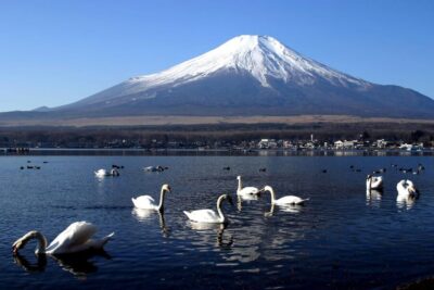 Fuji Mountain Area – FujiQ – Lake Kawaguchiko – Chureito Pagoda