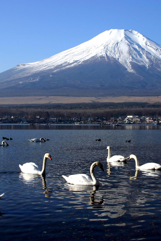 From Tokyo: Fuji Mountain Area - FujiQ - Lake Kawaguchiko - Chureito Pagoda - Lake Kawaguchiko: reflections, fresh air, and an easy rhythm