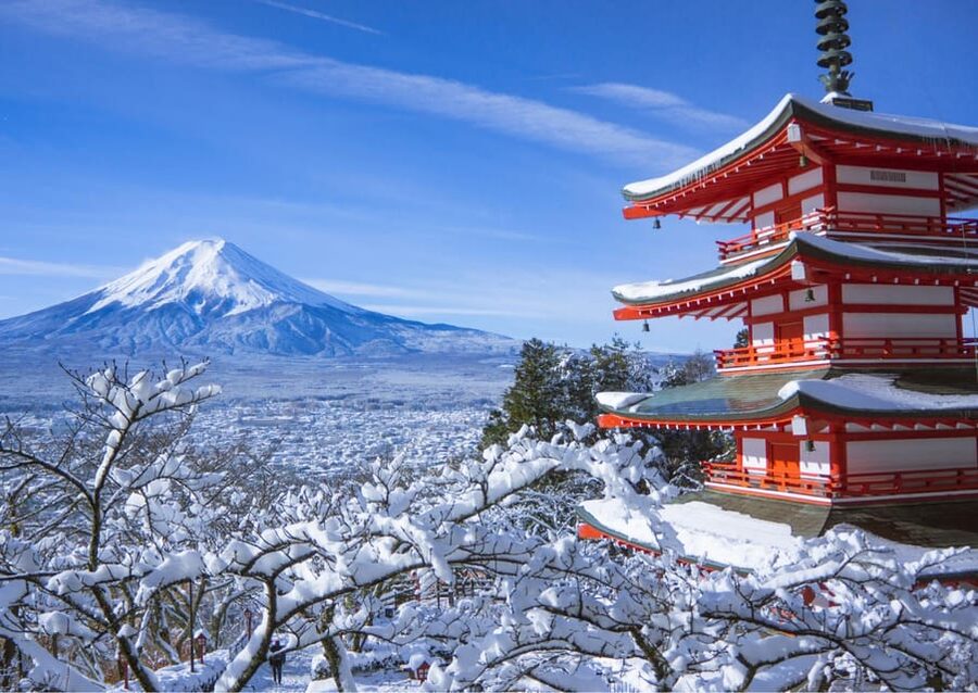 From Tokyo: Fuji Mountain Area - FujiQ - Lake Kawaguchiko - Chureito Pagoda - Guides in the driver seat: what the best service feels like