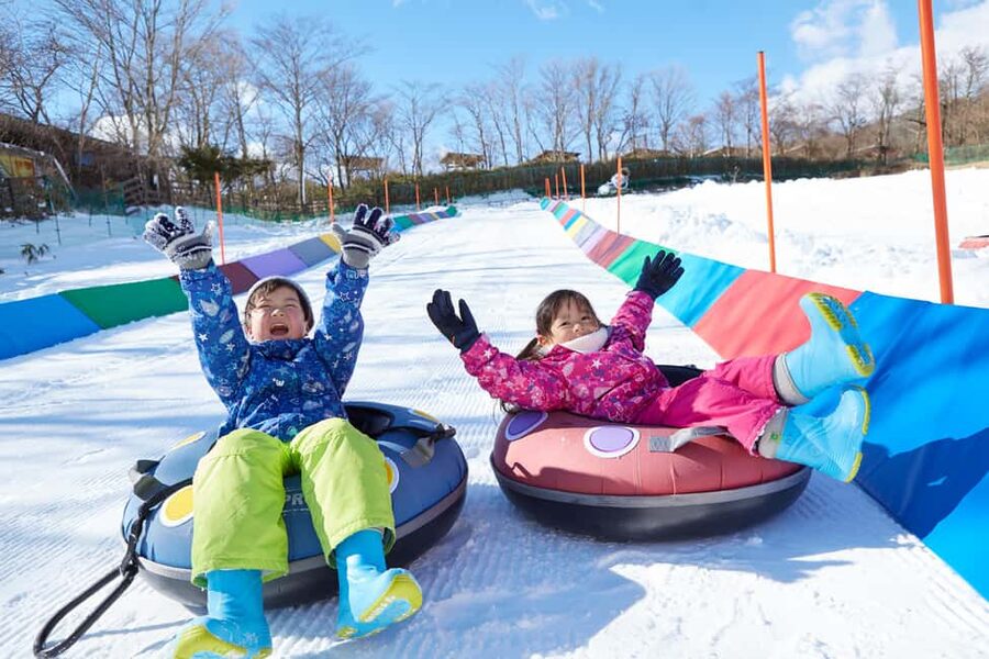 From Tokyo: Fujiyama Snow Resort Yeti Winter Ski Day Tour - Choose your package: shuttle, ski plus lift, ski with basics, or sledding