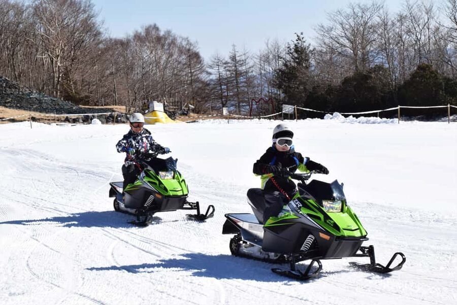 From Tokyo: Fujiyama Snow Resort Yeti Winter Ski Day Tour - Potential downsides: missed Fuji, timing changes, and cash-on-site costs