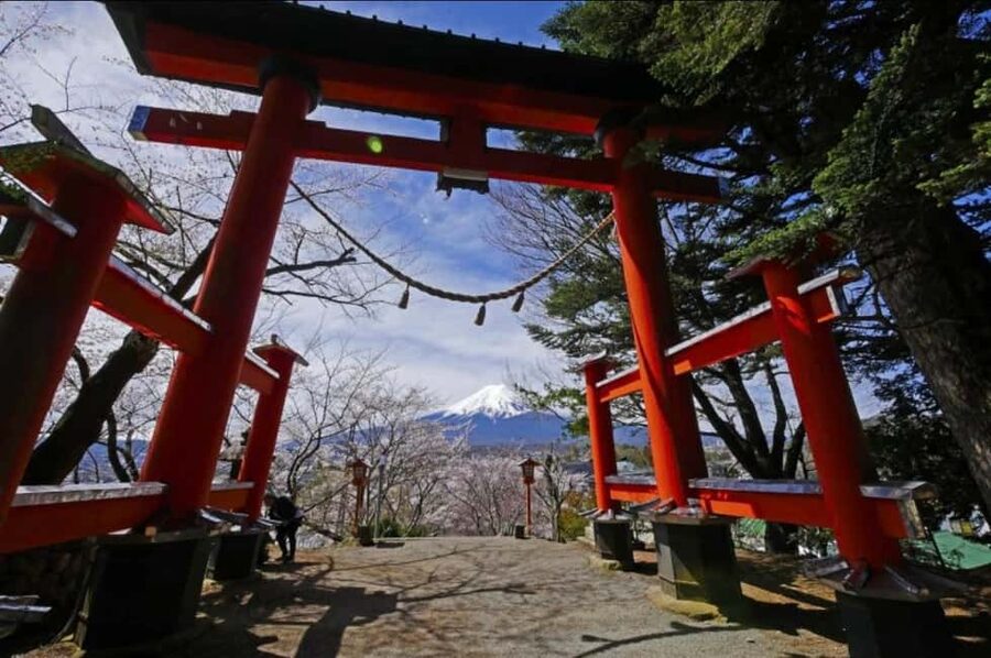From Tokyo: Full-Day Mount Fuji Tour in English or Spanish - Key things that make this tour worth your time