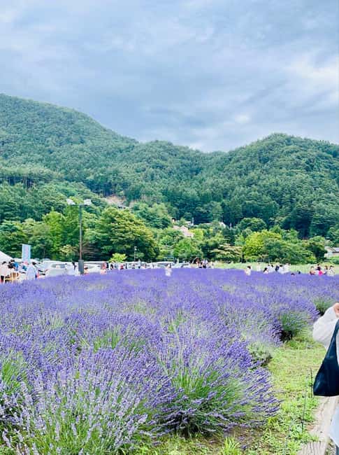 From Tokyo: Full-Day Mount Fuji Tour in English or Spanish - Arakura Sengen Shrine: why this stop feels more than scenic