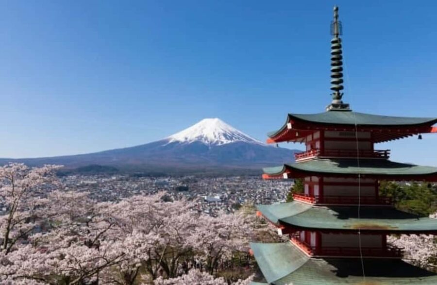 From Tokyo: Full-Day Mount Fuji Tour in English or Spanish - Oishi Park by Lake Kawaguchiko: seasonal gardens, eruption stones, and ice cream math