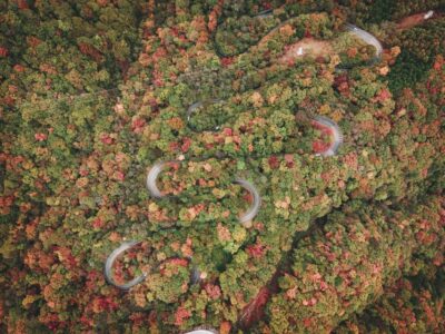 Guided Day Trip to Nikko World Heritage Sites
