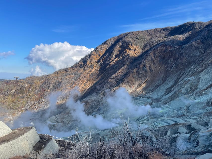 From Tokyo: Hakone Full Day Customizable Private Tour - Owakudani Volcanic Valley: The Most Dramatic Scenery Block
