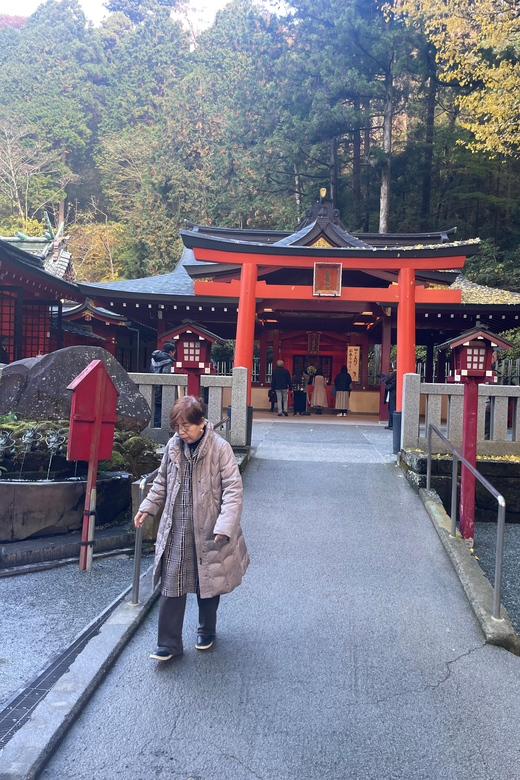 From Tokyo: Hakone Full Day Customizable Private Tour - Fuji Hakone Izu National Park: Nature Context Without the Ticket Hassle