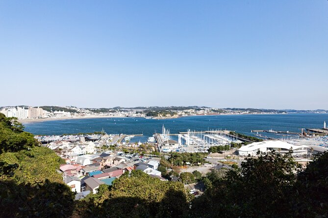 From Tokyo: Kamakura & Enoshima 1-Day Bus Tour - Tsurugaoka Hachimangu and Komachi Street, the Samurai-Era Welcome