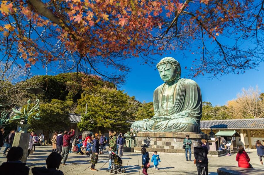 From Tokyo: Kamakura Full Day Tour with a Local Expert Guide - Key highlights