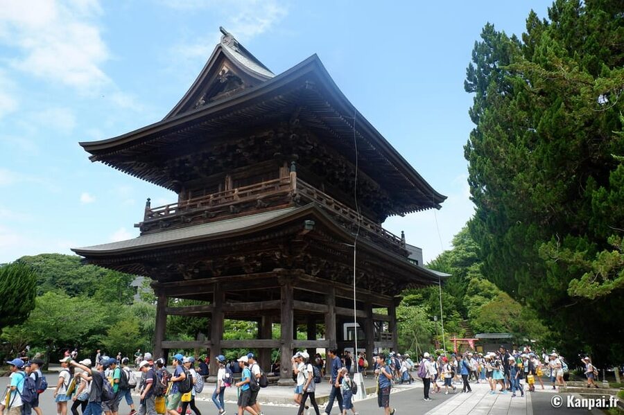 From Tokyo: Kamakura Full Day Tour with a Local Expert Guide - Zen temples and gardens: the calm side of Kamakura