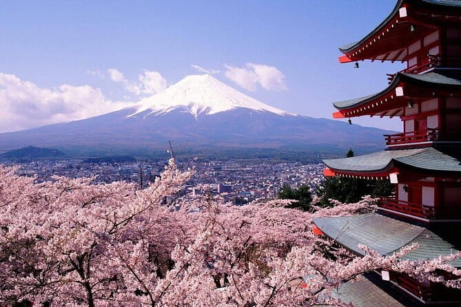 From Tokyo Kamakura, Hachimangu Shrine and Enoshima Full Day Tour - Hase Station and riding the Enoden train