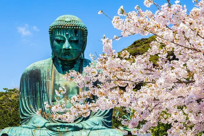 From Tokyo Kamakura, Hachimangu Shrine and Enoshima Full Day Tour - Pickup, air-conditioning, and why transport is the real value