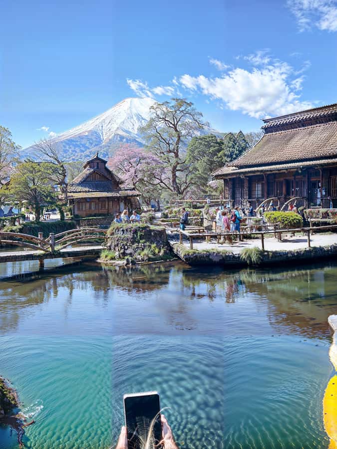 From Tokyo: Mount Fuji and Hakone Private Day Trip - Key things that make this tour work