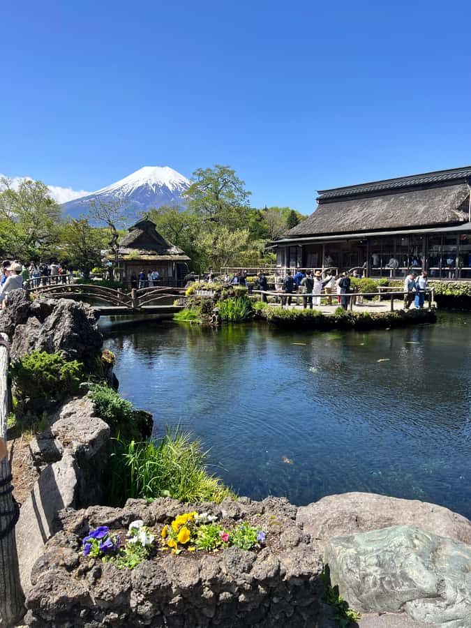 From Tokyo: Mount Fuji and Hakone Private Day Trip - Who should book this tour, and who should skip it