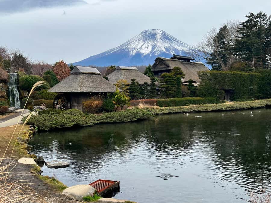 From Tokyo: Mount Fuji and Hakone Private Day Trip - A private day trip that feels like a plan, not a schedule