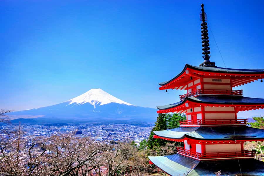 From Tokyo: Mount Fuji and Hakone Private Day Trip - Chureito Pagoda and Fuji Sengen Shrines, iconic views with different vibes