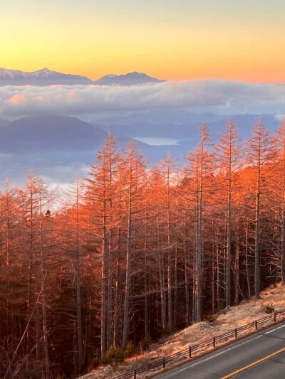 Mount Fuji and Hakone Private Day Trip