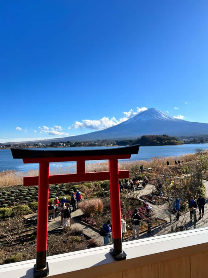 From Tokyo: Mount Fuji and Hakone Private Day Trip - Lake Ashi cruise and Hakone ropeway or cable car, the day’s payoff