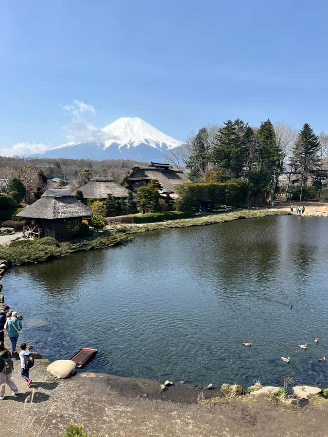 From Tokyo: Mount Fuji and Hakone Private Day Trip - Price and logistics, what you’re really paying for