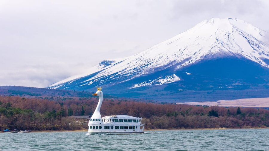 From Tokyo: Mount Fuji, Cruise and Sake Tour - Key Things That Make This Tour Worth It