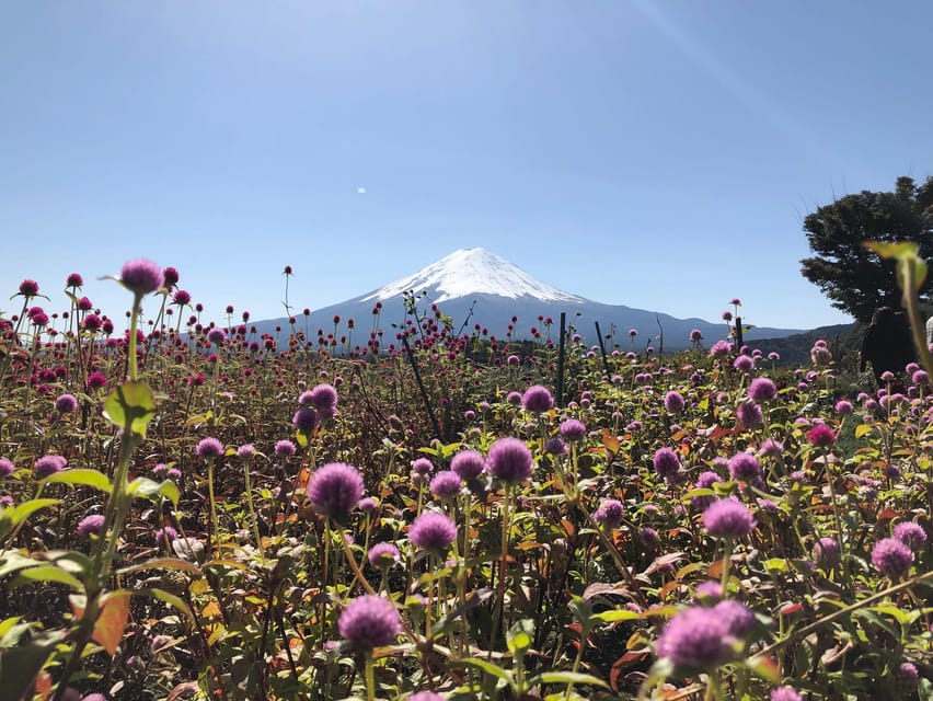 From Tokyo: Mount Fuji, Cruise and Sake Tour - Should You Book This Mt. Fuji, Cruise, and Sake Tour?