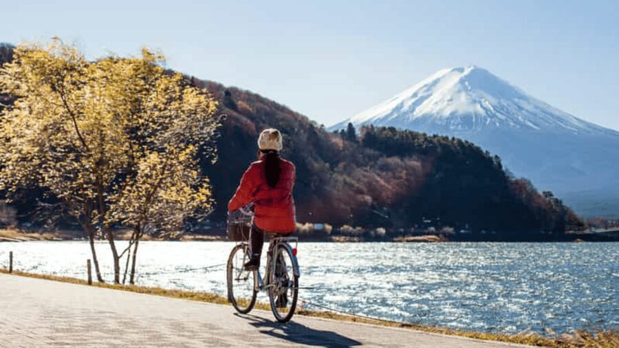From Tokyo: Mount Fuji Full Customized Tour English Guide - Key Points That Make This Tour Worth Your Time