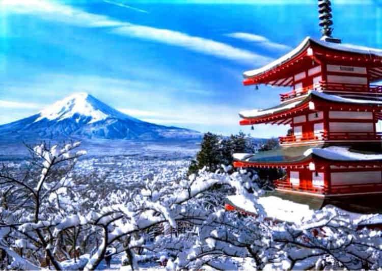 From Tokyo: Mount Fuji Full Customized Tour English Guide - Private Car, Private Focus, and a Real Chance at Fuji