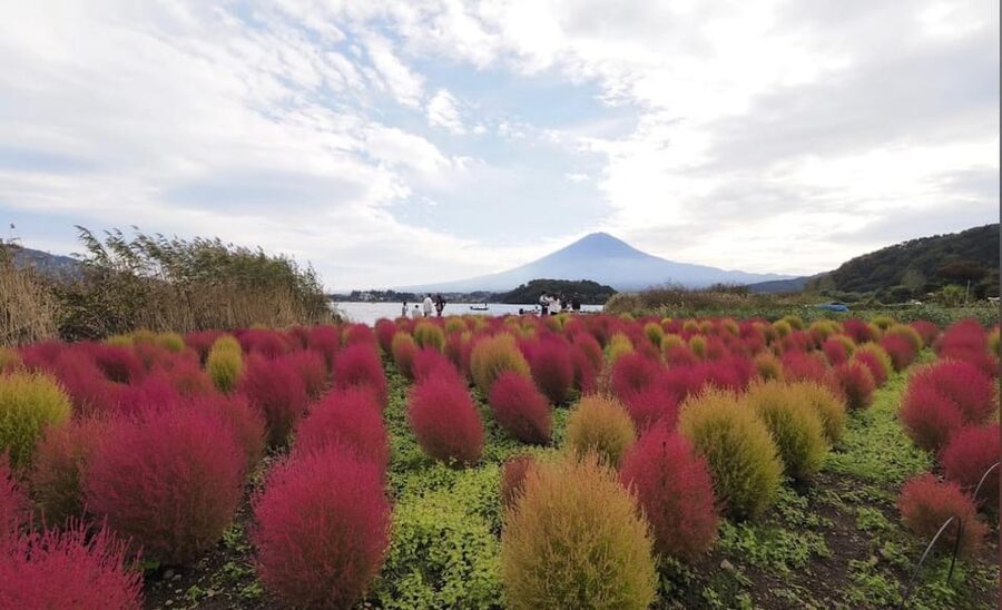 From Tokyo: Mount Fuji Full Customized Tour English Guide - Lake Kawaguchiko: Ropeway, Speed Boat, or Cruise Ship