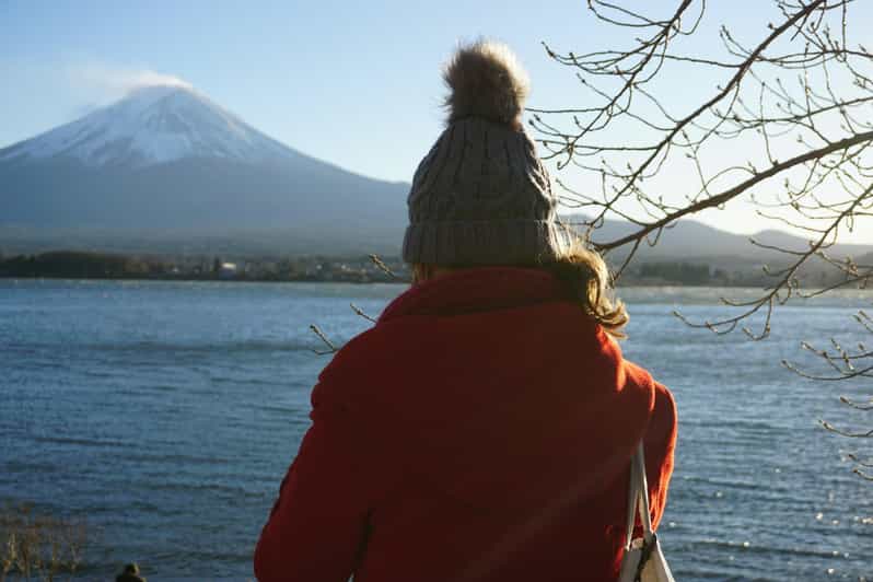 From Tokyo: Mount Fuji Full-Day Customizable Private Tour - Key things I’d plan around