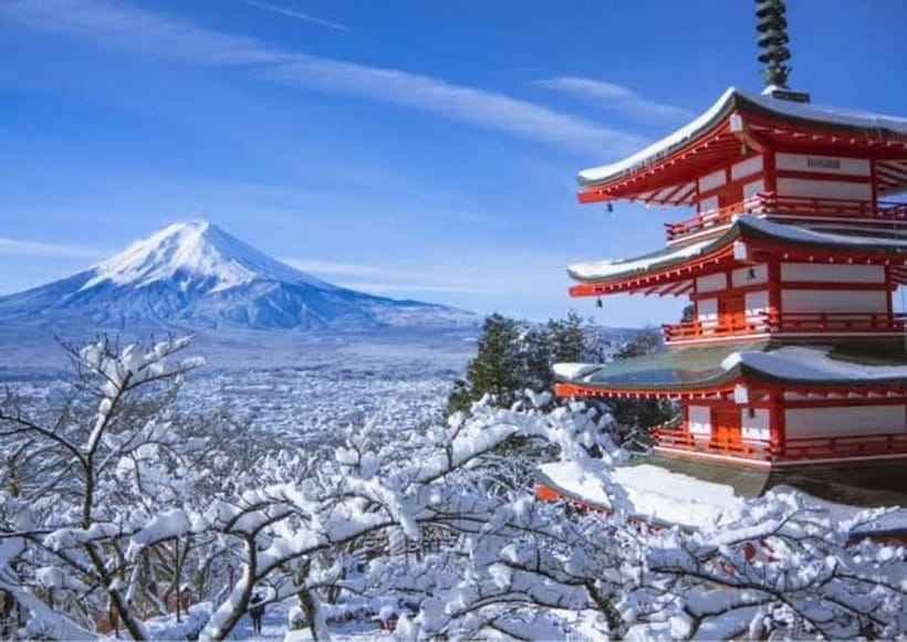 From Tokyo: Mount Fuji Full-Day Customizable Private Tour - Hakone Open Air Museum: outdoor art that doesn’t feel forced