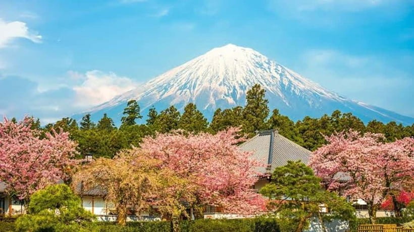 From Tokyo: Mount Fuji Full-Day Customizable Private Tour - A private car day that lets Fuji set the pace