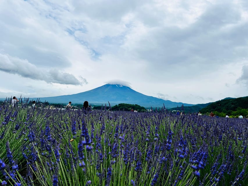 From Tokyo: Mount Fuji Full-Day Customizable Private Tour - Arakurayama Sengen Park: Fuji views first, then the spiritual tone
