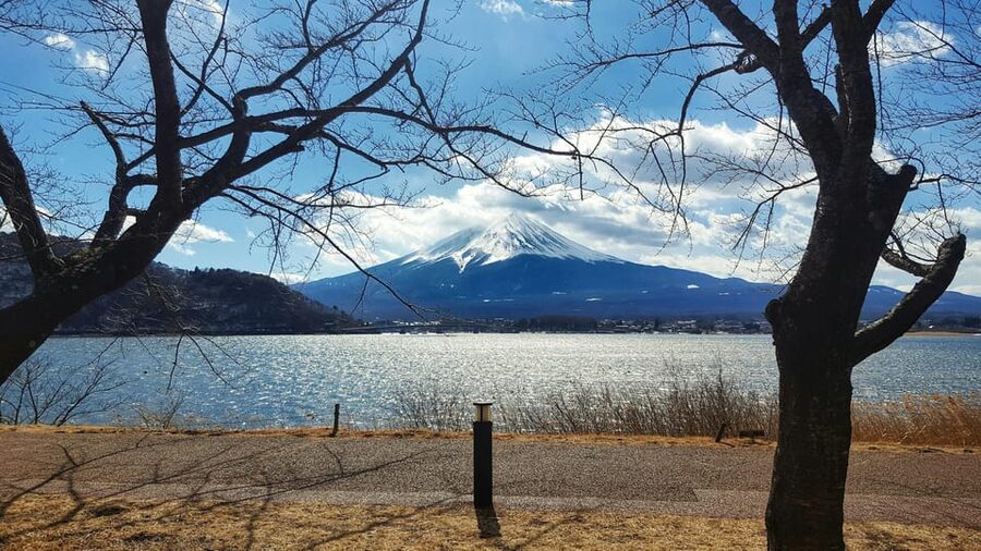 From Tokyo: Mount Fuji Full-Day Customizable Private Tour - Lake Kawaguchi and Oishi Park: classic views with real time to breathe