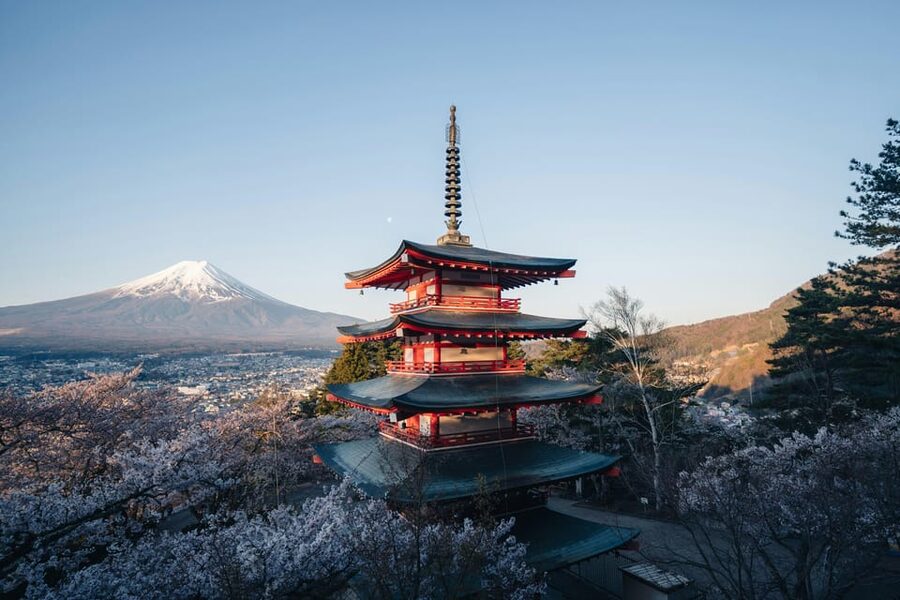From Tokyo: Mount Fuji Full-Day Customizable Private Tour - Oshino Hakkai: where Fuji’s snowmelt shows up