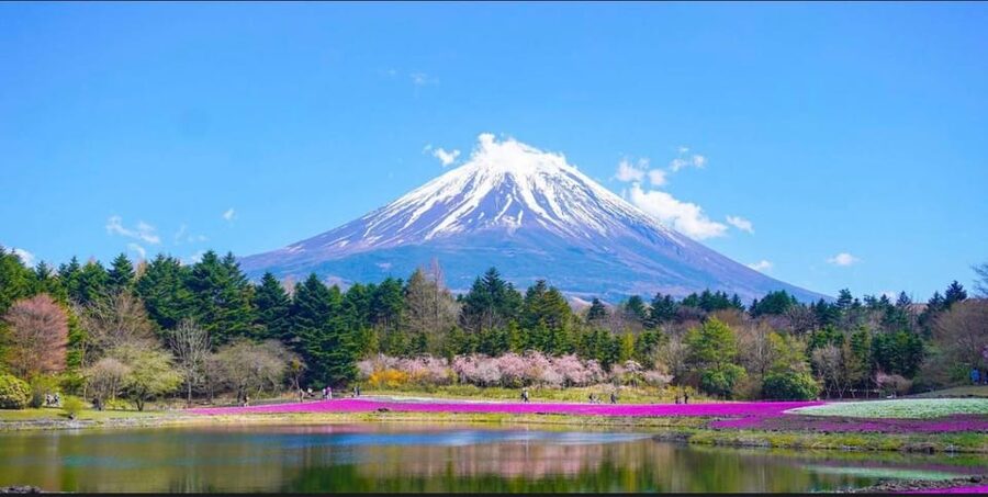 From Tokyo: Mount Fuji Full-Day Customizable Private Tour - Lake Ashi cruise and Hakone Shrine: classic torii moments