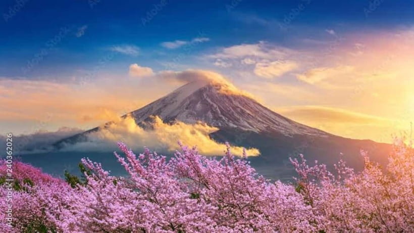 From Tokyo: Mount Fuji Full-Day Customizable Private Tour - Mount Fuji vs Hakone: pick your style, not just your stops