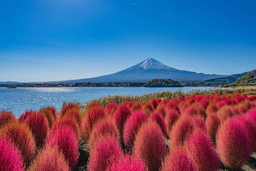 From Tokyo: Mount Fuji Full Day Private Customizable Tour - Why a Private Mt. Fuji Day From Tokyo Feels Different