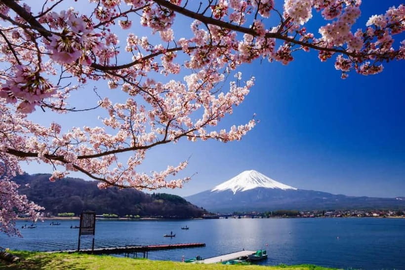 From Tokyo: Mount Fuji Full Day Private Customizable Tour - Getting Picked Up in Tokyo, Then Traveling in Comfort