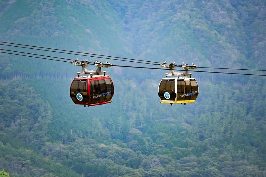 From Tokyo: Mount Fuji Full-Day Private Tour (Customizable) - Key Points You Should Know Before You Go