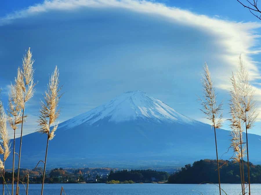 From Tokyo: Mount Fuji Full-Day Private Tour (Customizable) - Timing, Photos, and How the Best Guides Keep the Day Moving