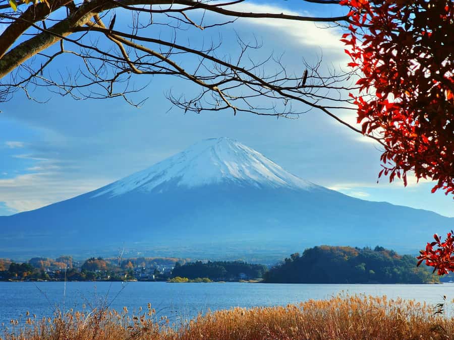From Tokyo: Mount Fuji Full-Day Private Tour (Customizable) - Chureito Pagoda at Arakurayama Sengen Park: The Red Pagoda and the Classic Angle