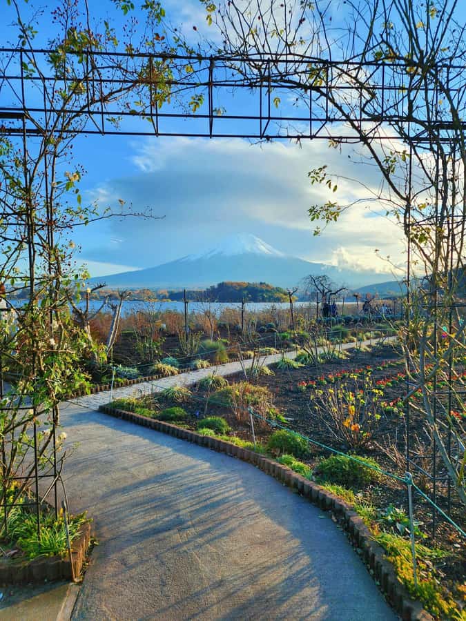 From Tokyo: Mount Fuji Full-Day Private Tour (Customizable) - Fuji 5th or 6th Station on the Subaru Line: The Weather-Dependent Highlight