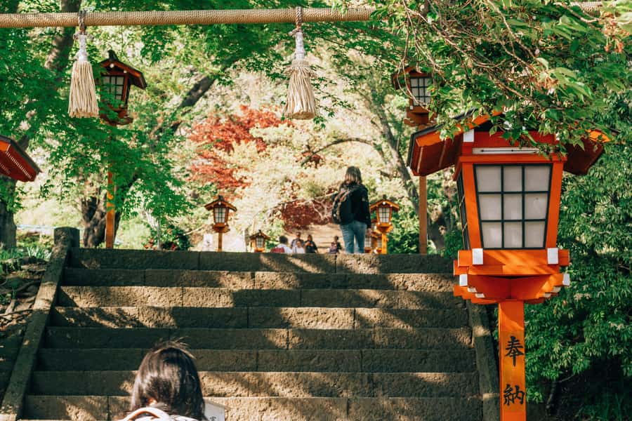 From Tokyo: Mount Fuji Full-Day Private Tour (Customizable) - When You Want Extra Variety: Hakone Add-Ons Through Customization